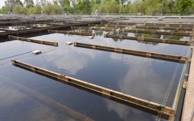 Solids Treatment in a Wastewater Lagoon System