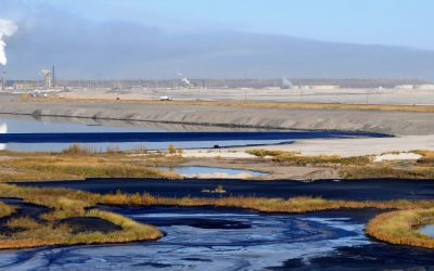 Bio-Dredging Solids in a Lagoon System