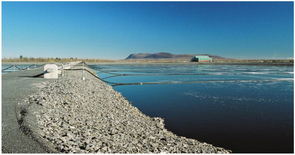 toxicity-treatment-in-an-oil-refinery-aerated-lagoon-system