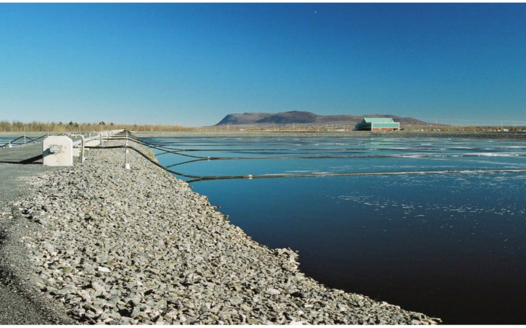 Toxicity Treatment in an Oil Refinery Aerated Lagoon System