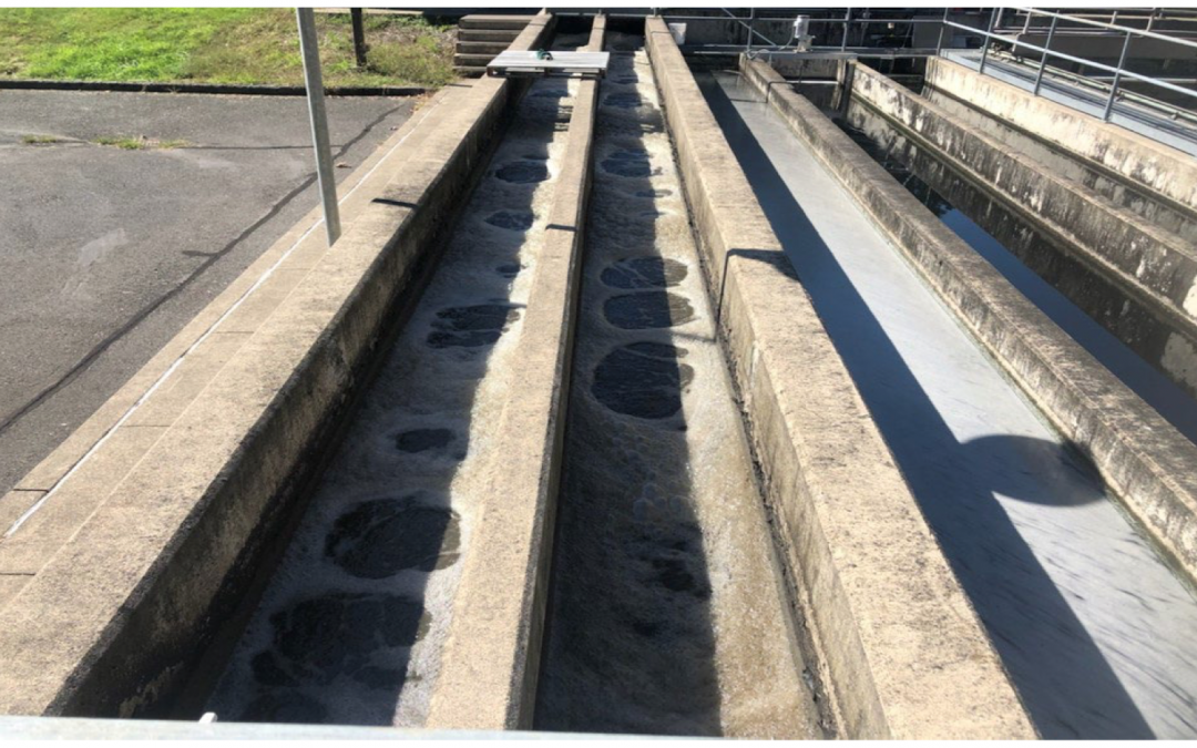 F:M Treatment in an Activated Sludge Plant