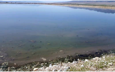 Toxicity Treatment in a Wastewater Lagoon System