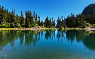 Improving Water Clarity in Freshwater Lakes