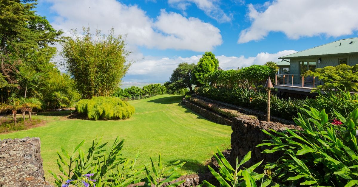 Homeowner Lawn Testimonial