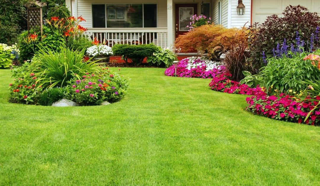 Landscape and Lawn Testimonial