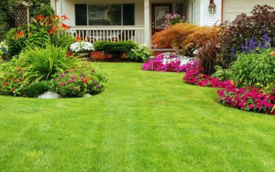 Landscape and Lawn Testimonial
