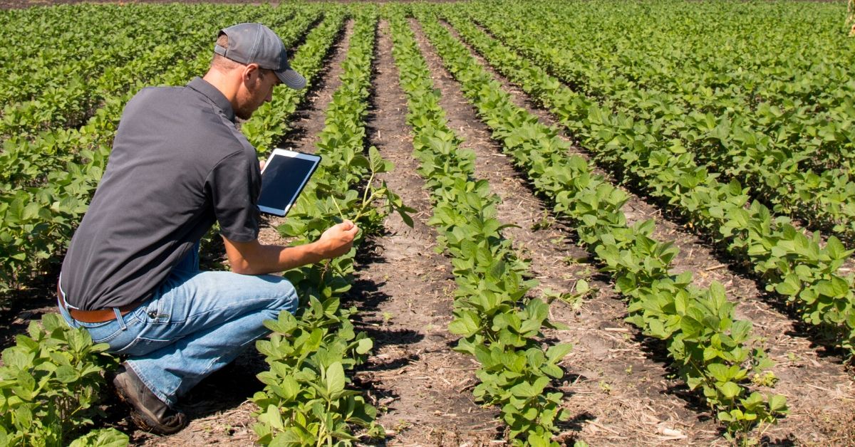 BioLynceus® Products in Agricultural Soils FAQs