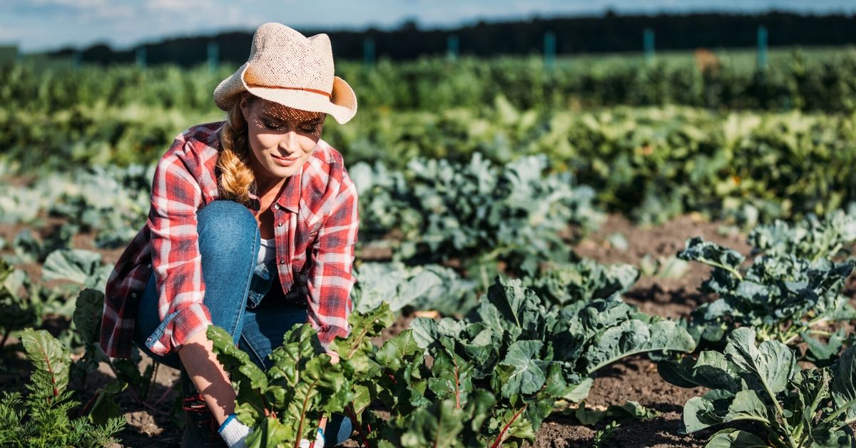 Benefits of Using Lot 125® Blend