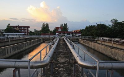 Regulate Filamentous Bacteria in Wastewater Treatment