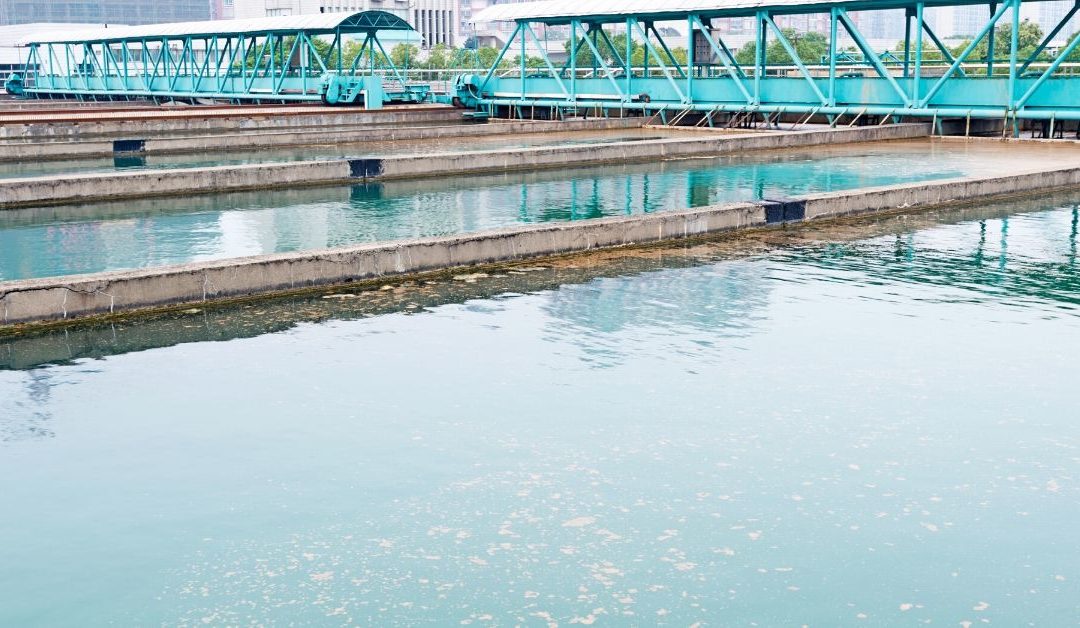 4 Ways to Balance Food to Microorganism Ratio (F:M) in Wastewater Treatment