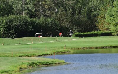 Water Clarity Treatment In Irrigation Ponds