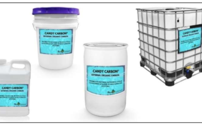 Denitrification with Candy Carbon® at an Industrial Wastewater Treatment Plant