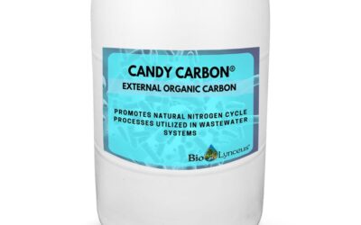 Denitrification with Candy Carbon®