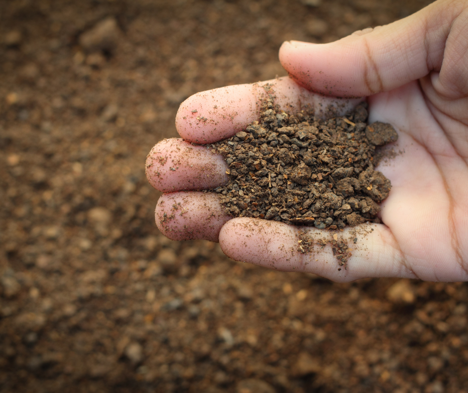 Soil, Soil Remediation, Phosphorus