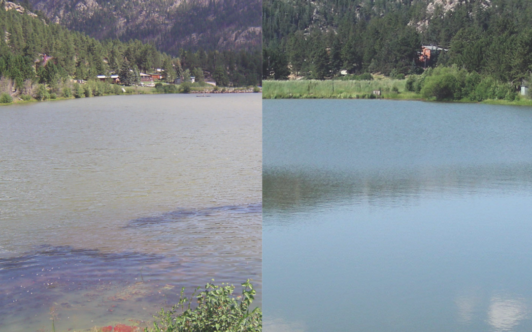 Lake and Pond Water Clarity with BioLynceus® Products