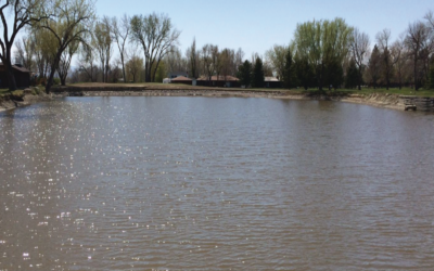 Water Clarity Treatment in Irrigation Ponds