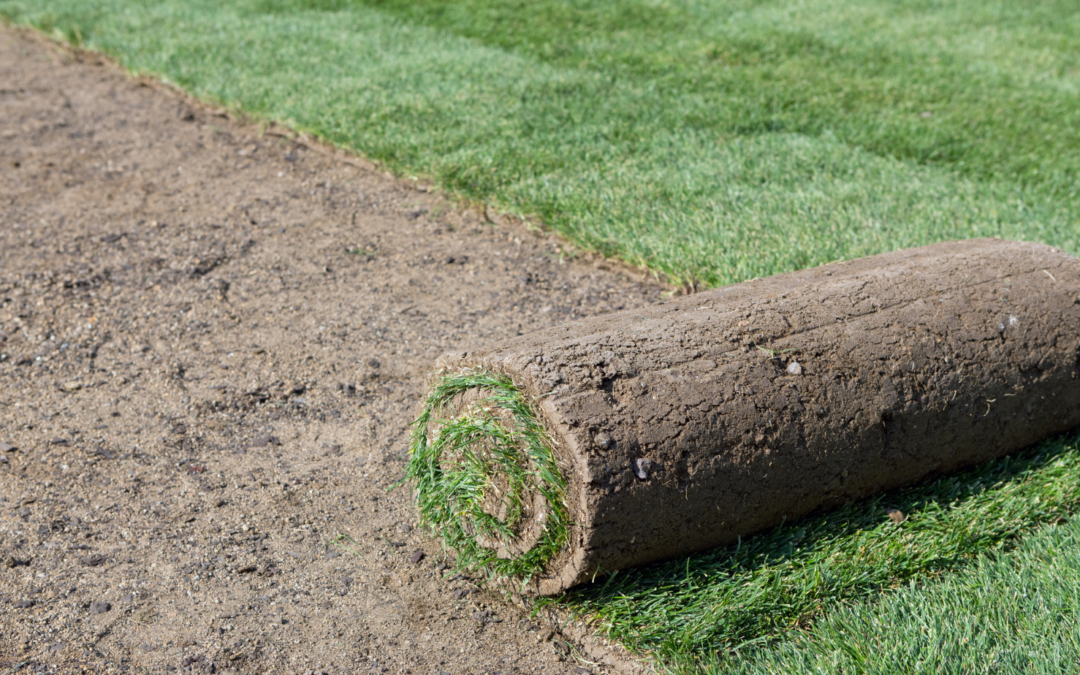 How to Make Sod Perform Better on New Construction Sites – Testimonial – [ video ]
