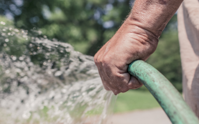 How to Reduce the Need for Hand Watering – Testimonial – [ video ]