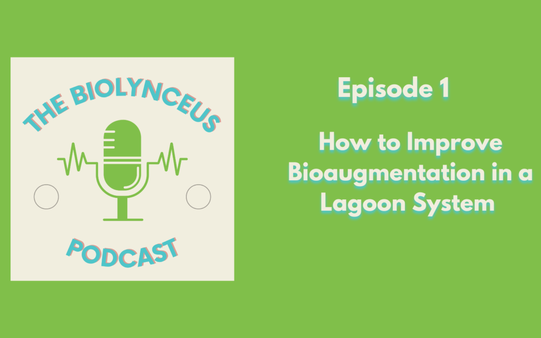 Episode 1 – How to Improve Bioaugmentation in a Lagoon System