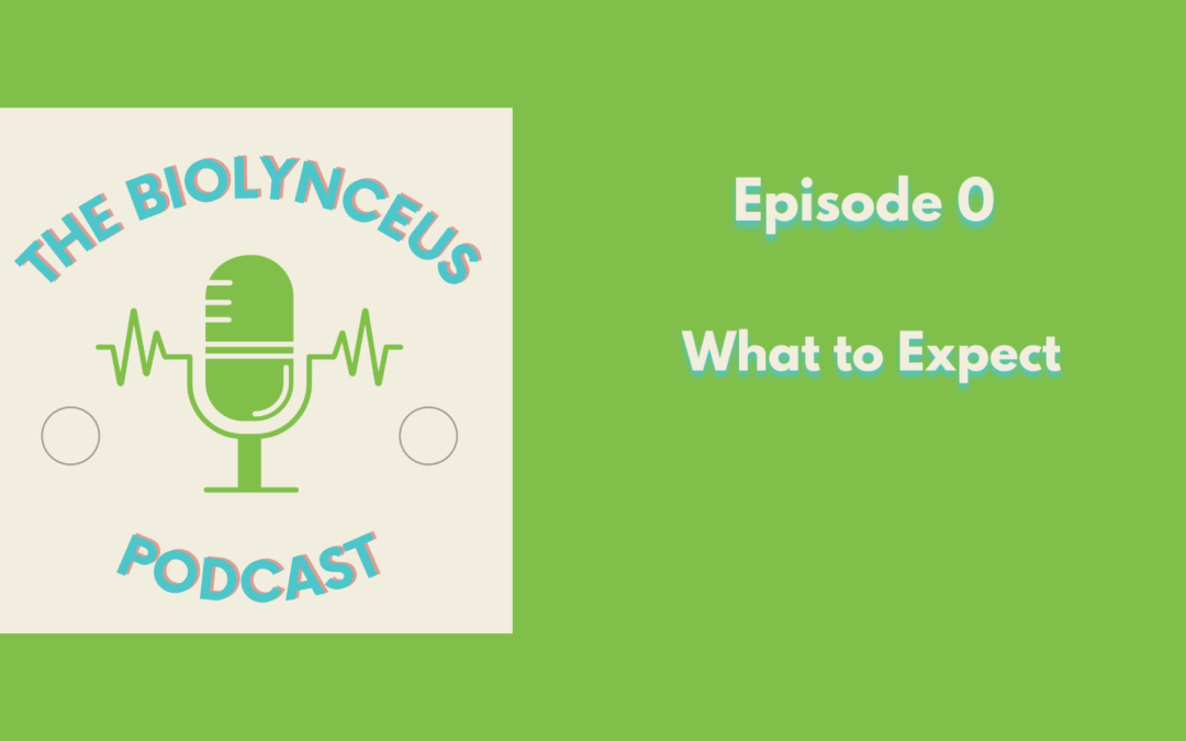 Episode 0 – What to Expect
