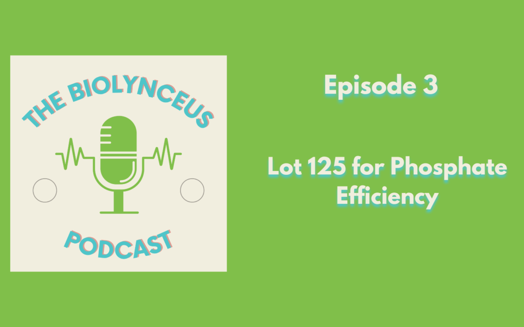Episode 3 – Lot 125 for Phosphate Efficiency
