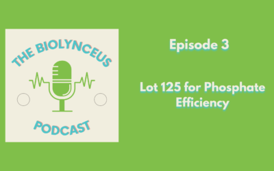 Episode 3 – Lot 125 for Phosphate Efficiency