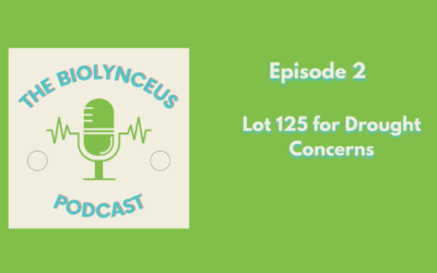 Episode 2 – Lot 125 for Drought Concerns