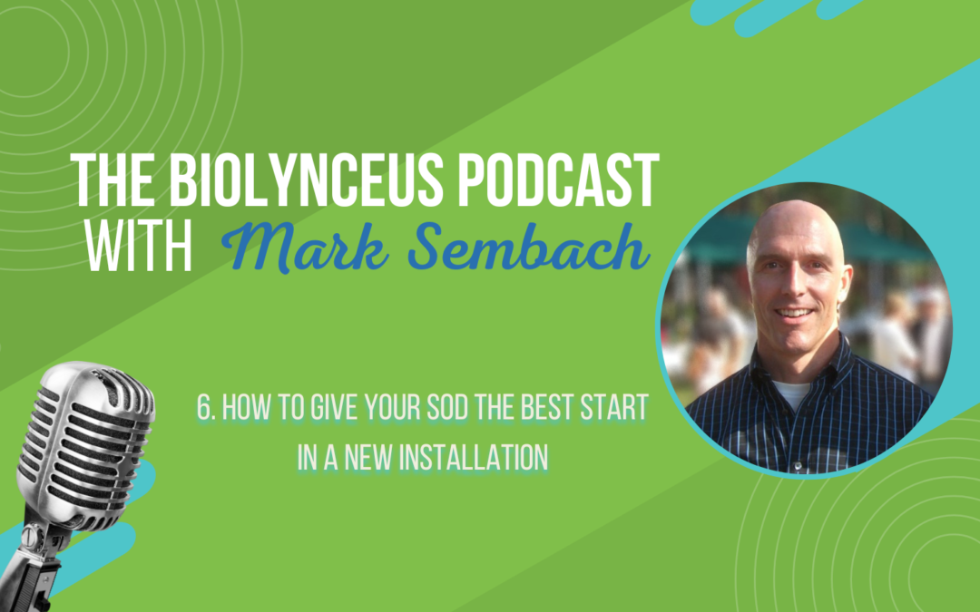 Episode 6 – How to Give Your Sod The Best Start in a New Installation