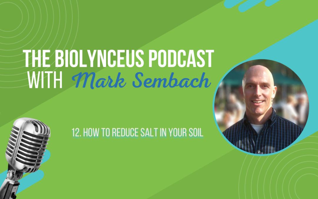 Episode 12 – How to Reduce Salt in Your Soil