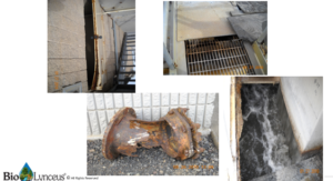 Damage caused to a WWTP by H2S